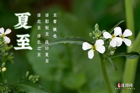 夏至 星座|夏至是什么星座 夏至出生是什么星座